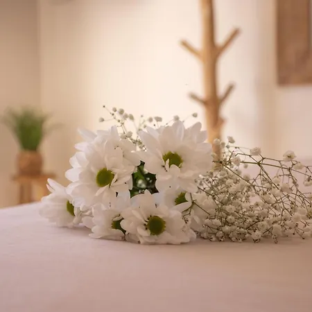 Les Suites Love 3 Spa Vue Mer Piscine-3